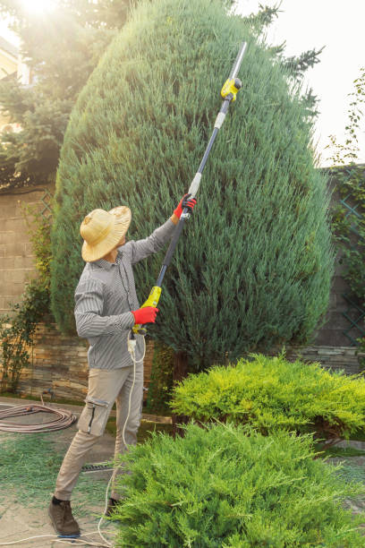 Best Lawn Maintenance Plans  in Spanay, WA